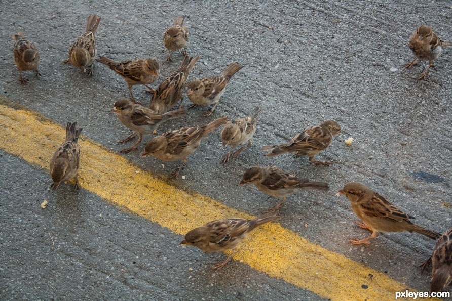 I told you not to cross the yellow line.