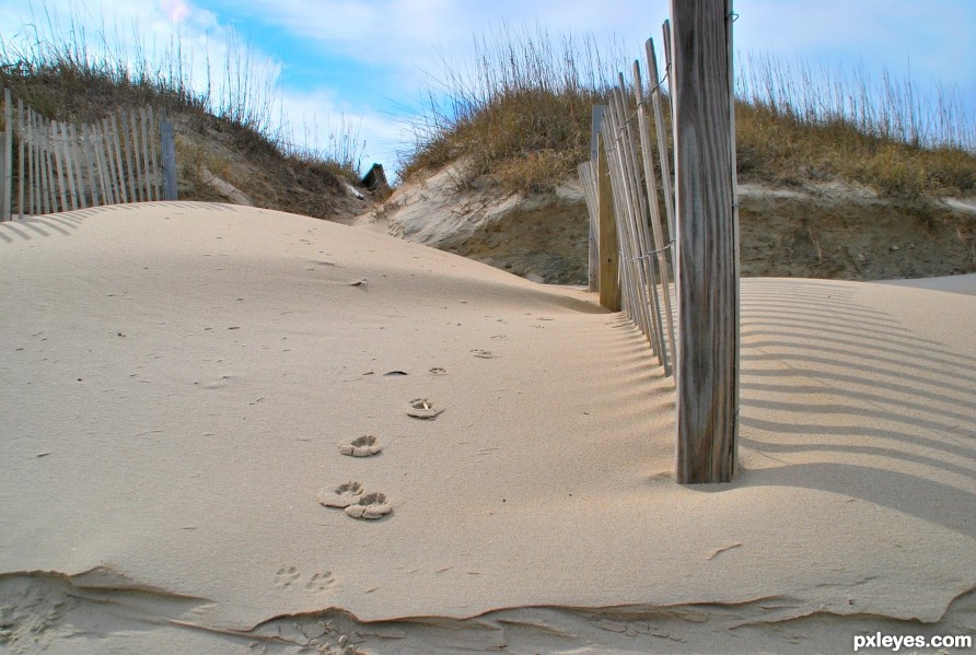 Sand Between Your Toes