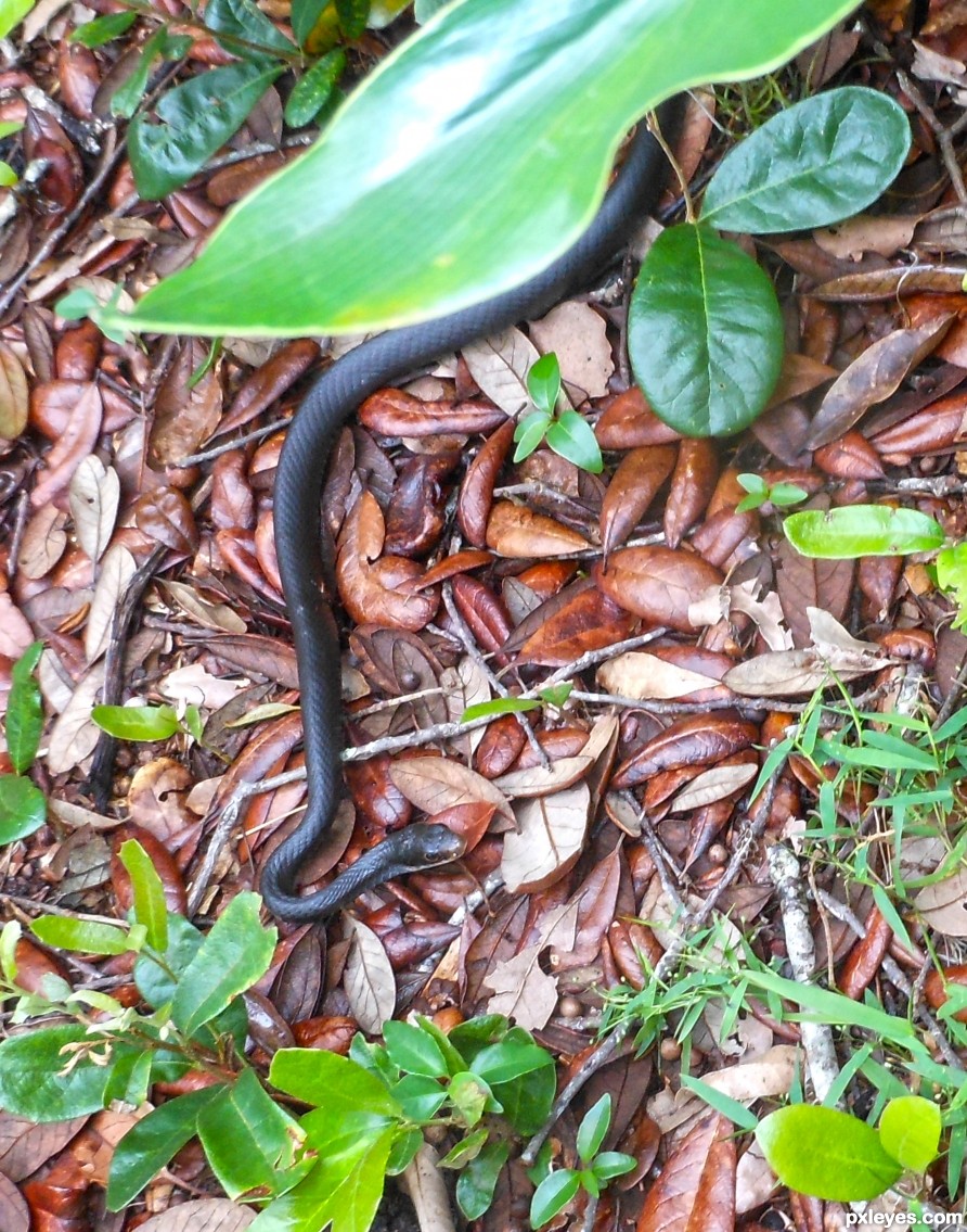 Friendly hiking trail