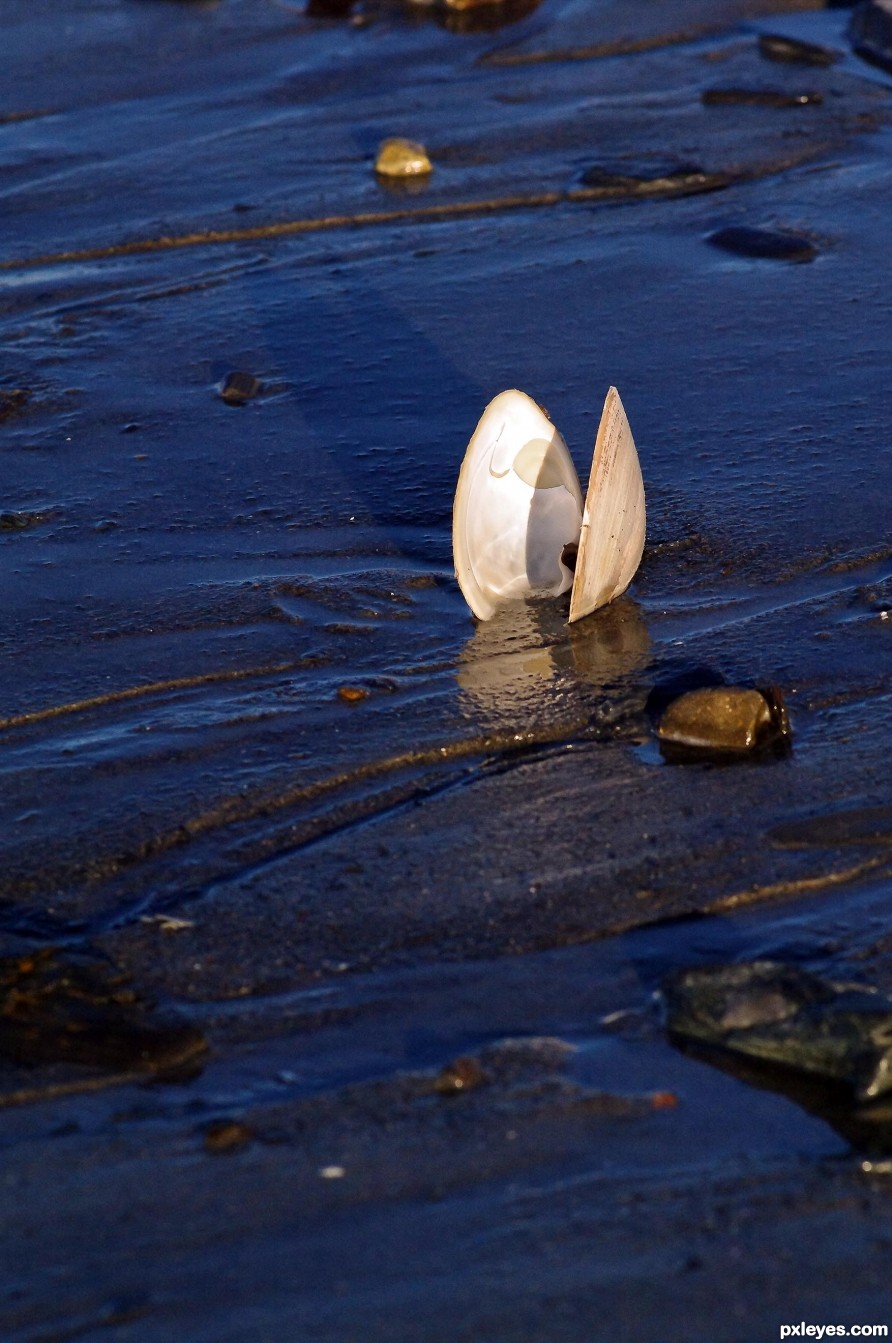 Beach Combing