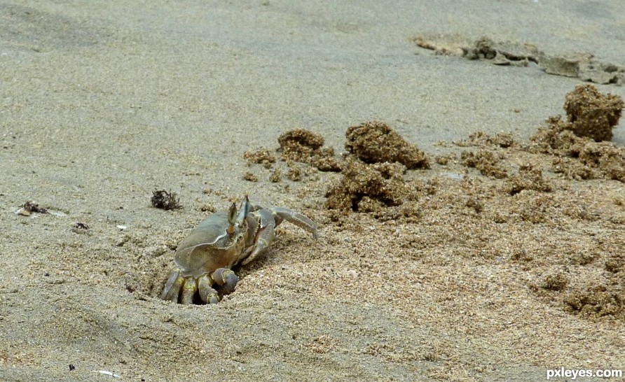 in the morning on the beach 