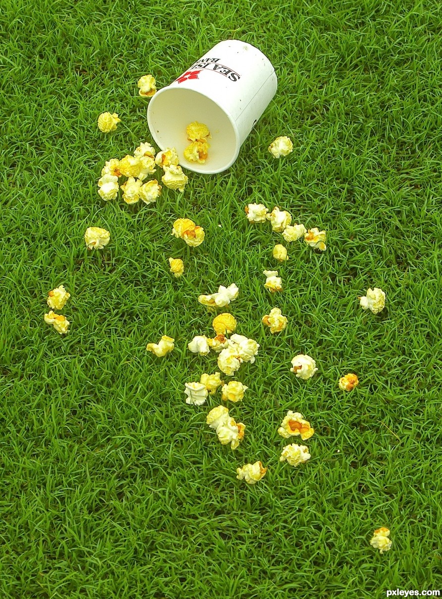 Popcorn in the park on the grass