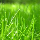 what is underfoot photography contest
