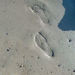 footprint