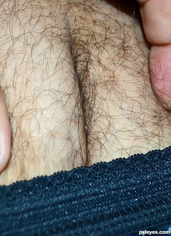 Creation of Hairy body part: Final Result