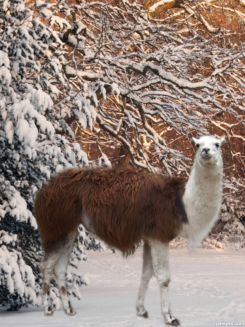 Creation of Snowy forest: Step 2