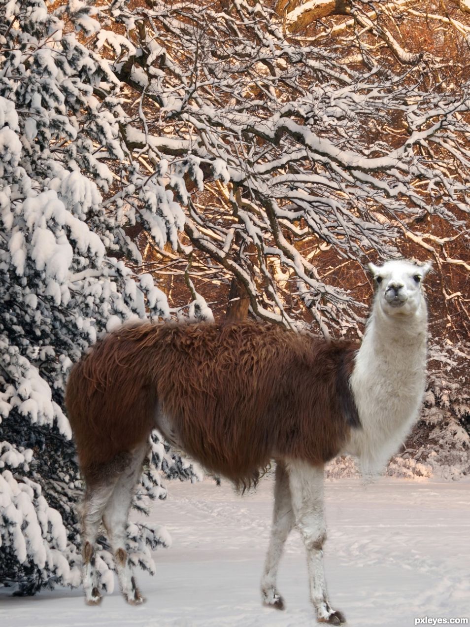 Creation of Snowy forest: Step 2