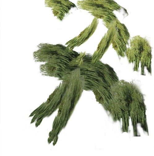 Creation of Tree Creature: Step 5