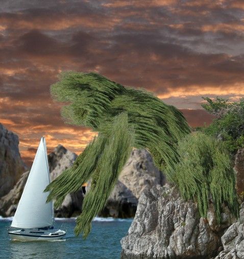 Creation of Tree Creature: Step 7