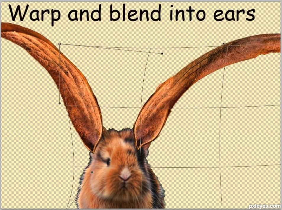 Creation of Whirly Gig Bunny: Step 4