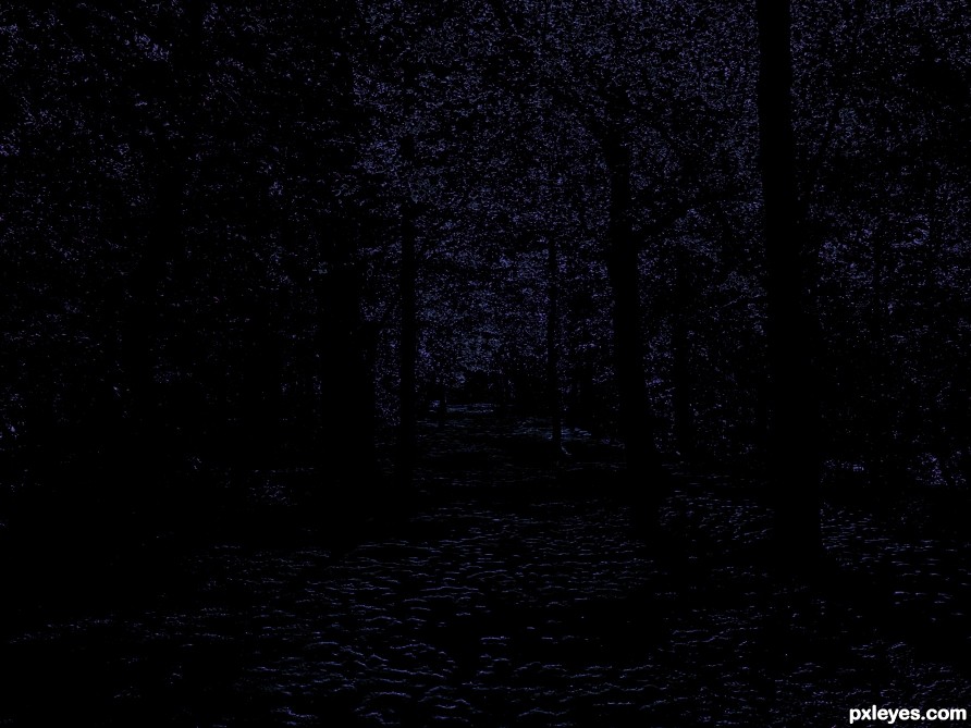Creation of fairy forest: Step 2