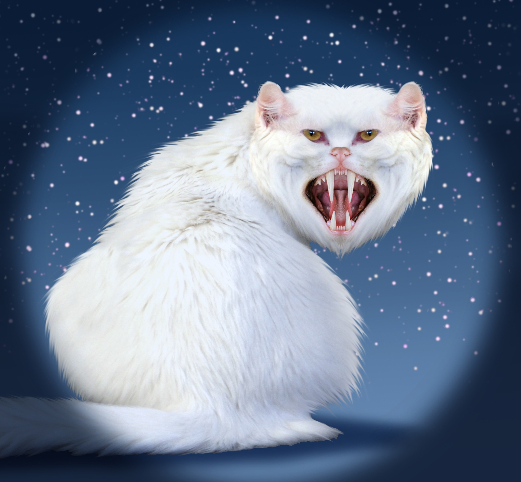 Сонник белая кошка