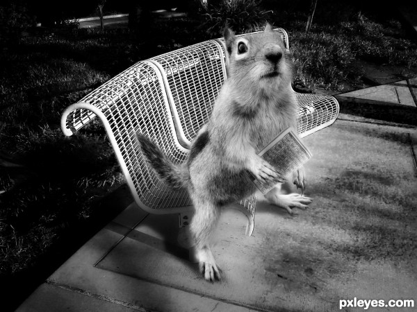 Creation of alone in the park: Step 8