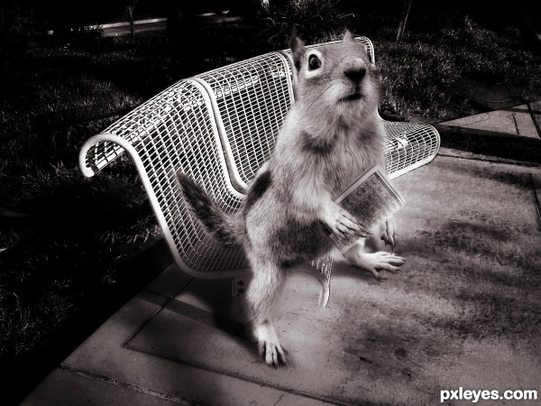 Creation of alone in the park: Step 9