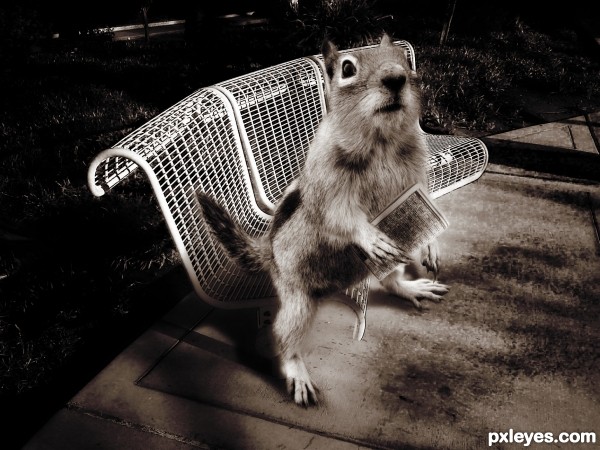 Creation of alone in the park: Step 10