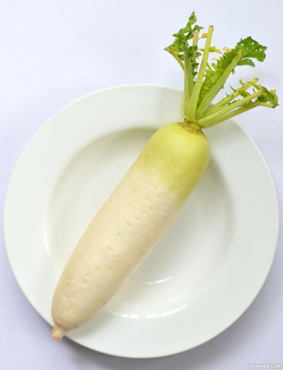 Daikon