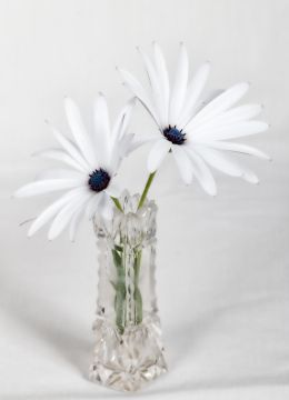 White flowers