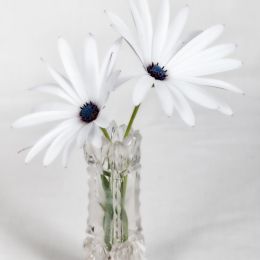 Whiteflowers