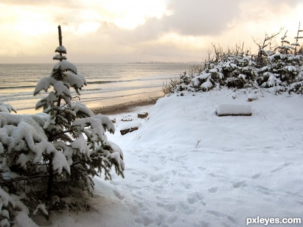 Snow at the Beach