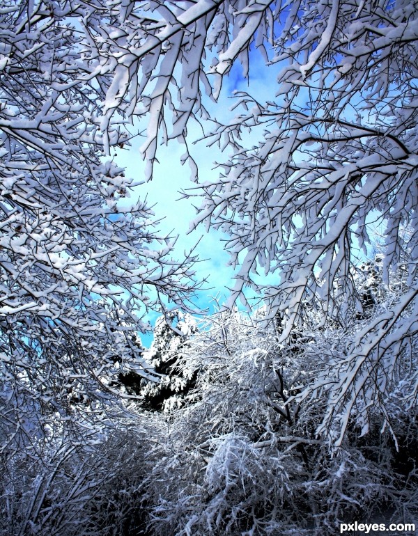 Winter in Maryland photoshop picture)