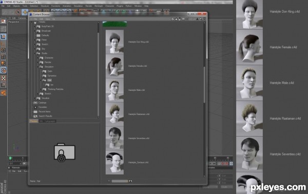 Creation of Punk Wig: Step 1