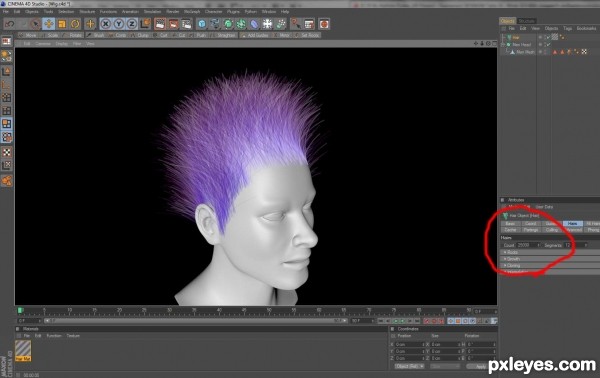 Creation of Punk Wig: Step 12