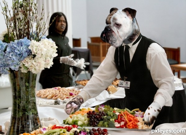 Dont slobber on the food again, George!