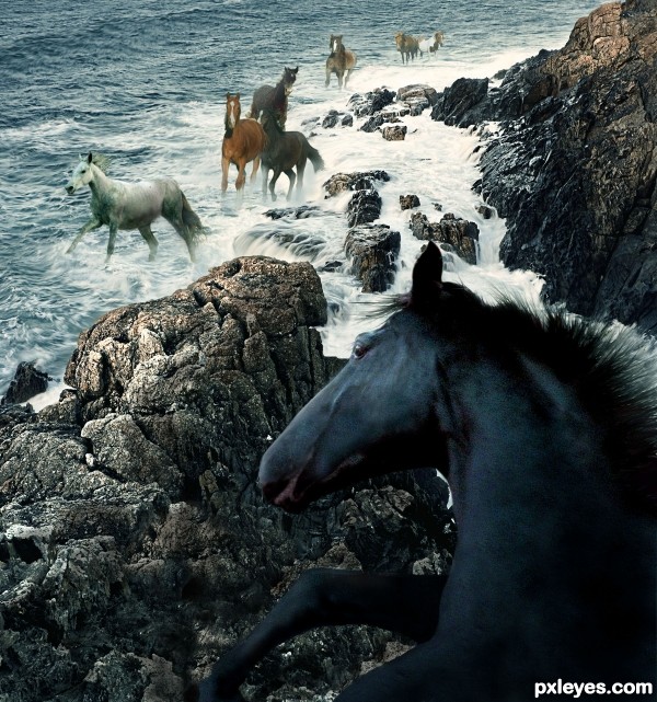 Creation of From the Wild Sea : Step 11