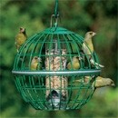 wild world of birdfeeders photography contest