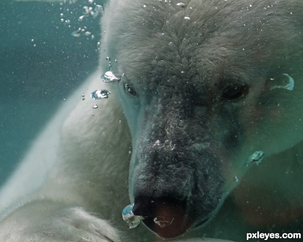 Swimming