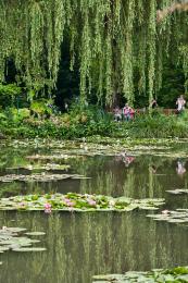 Lilypond