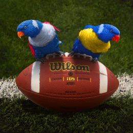 SuperBowlBirds