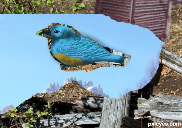 Creation of Rhapsody in Blue: Step 9