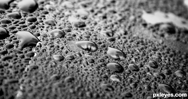 B/W Drops