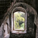 window source image