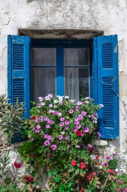 Floral Window