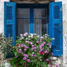 FloralWindow