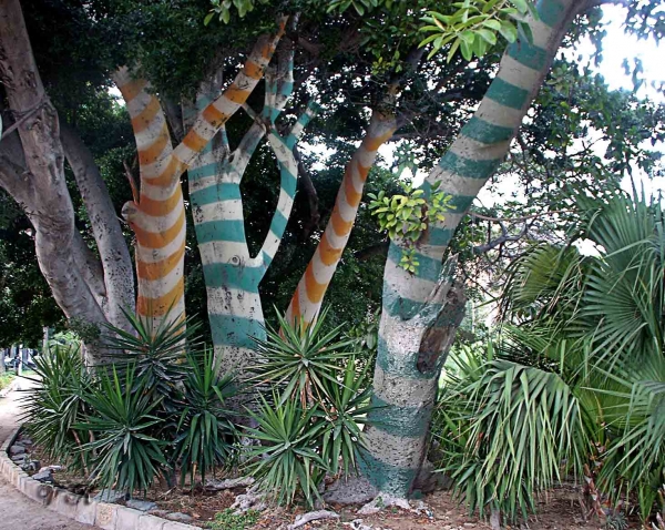 Creation of strange trees: Step 8