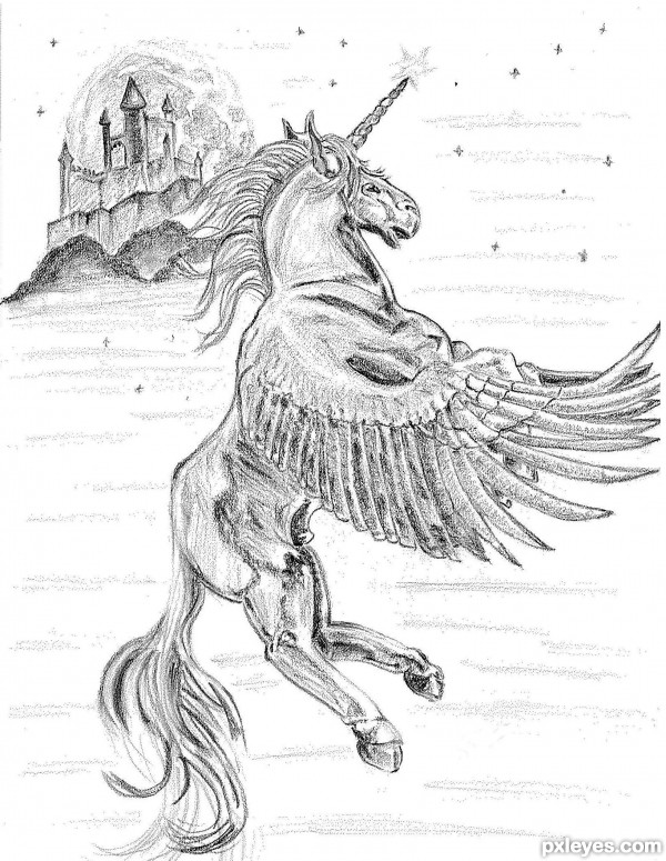 Pegasus in mysterious land 