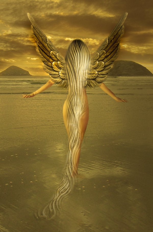 Creation of Golden Angel: Step 8