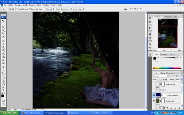 Creation of Golden Feather: Step 4