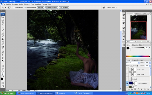Creation of Golden Feather: Step 5