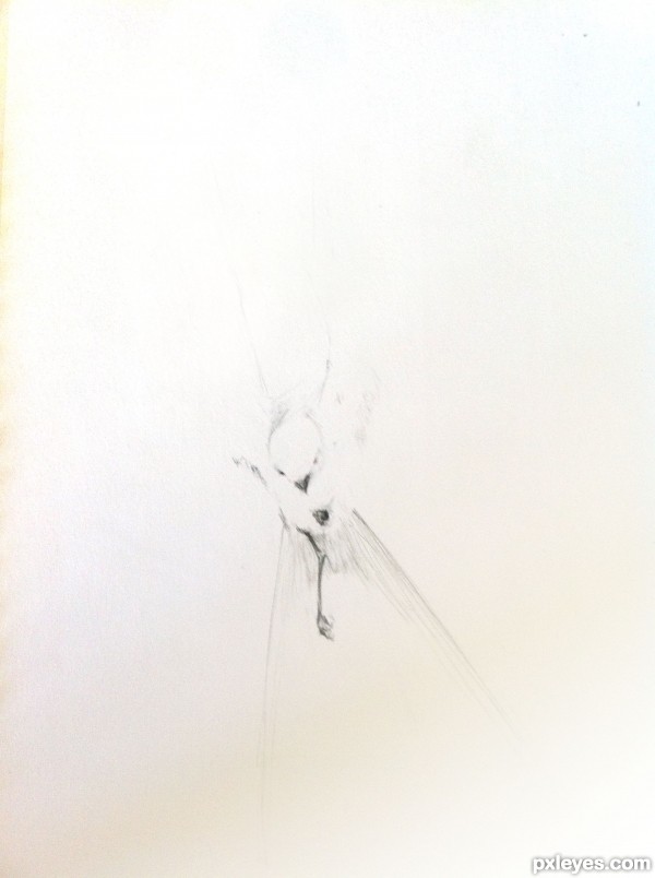 Creation of From Memory: Step 1
