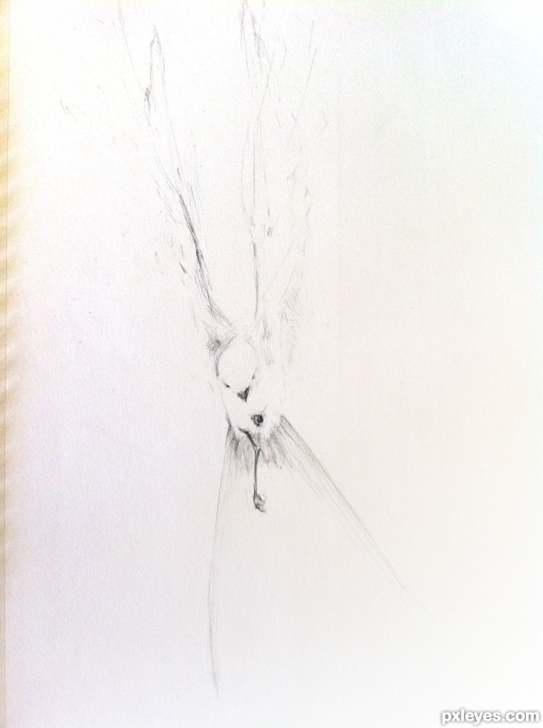 Creation of From Memory: Step 3