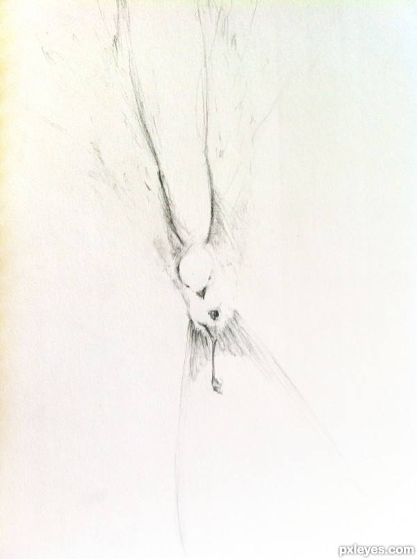 Creation of From Memory: Step 4