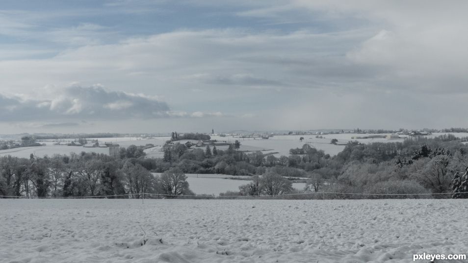 Snowy morning