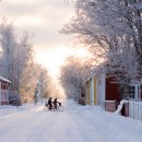 winter photography contest