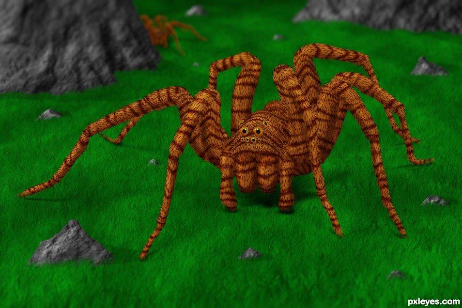 Tigerspider