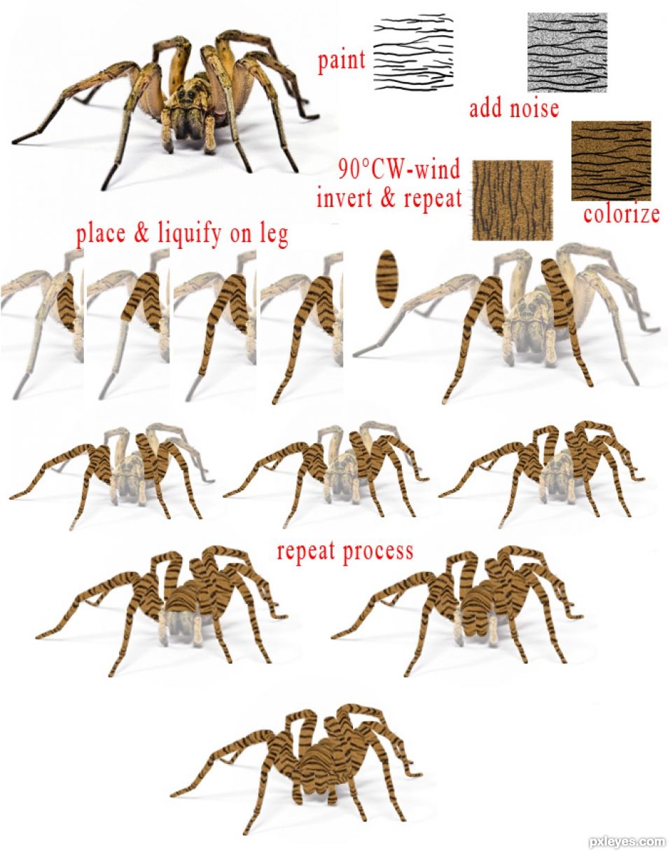 Creation of Tigerspider: Step 1