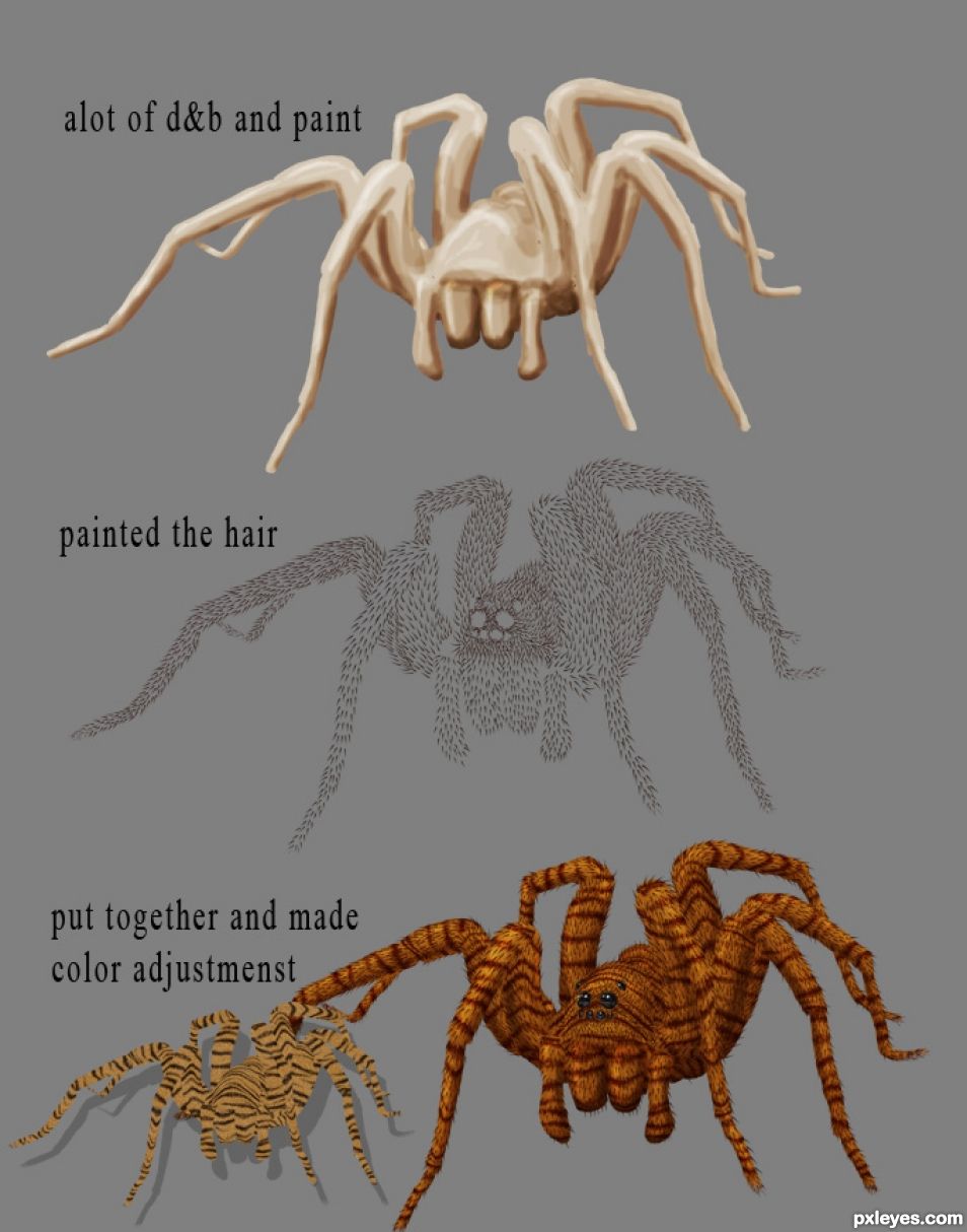 Creation of Tigerspider: Step 2